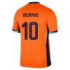 Virallinen Fanipaita Alankomaat Memphis 10 Kotipelipaita Euro 2024 - Miesten